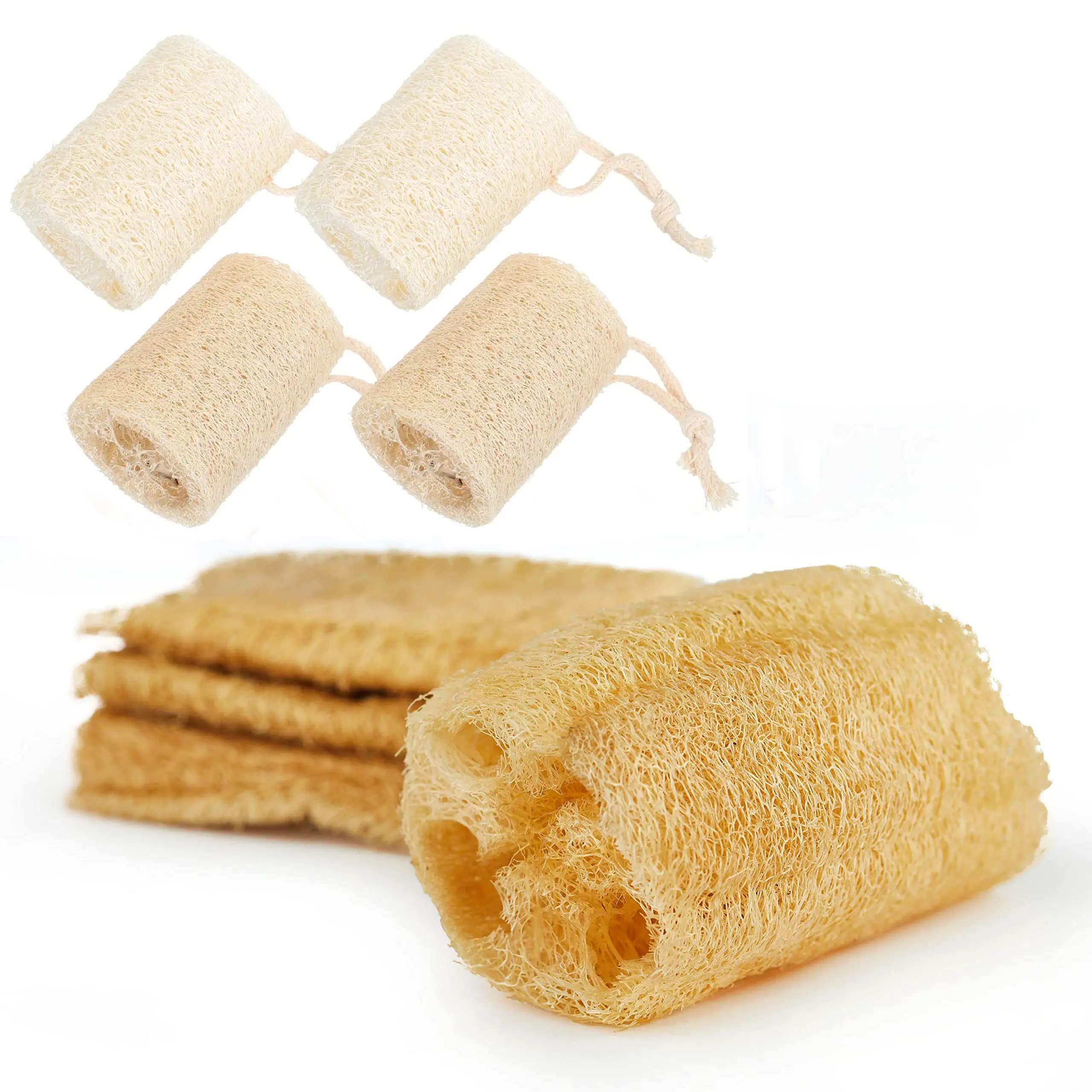 Kitchen Loofah Scrubber as a Green Sponge Alternative