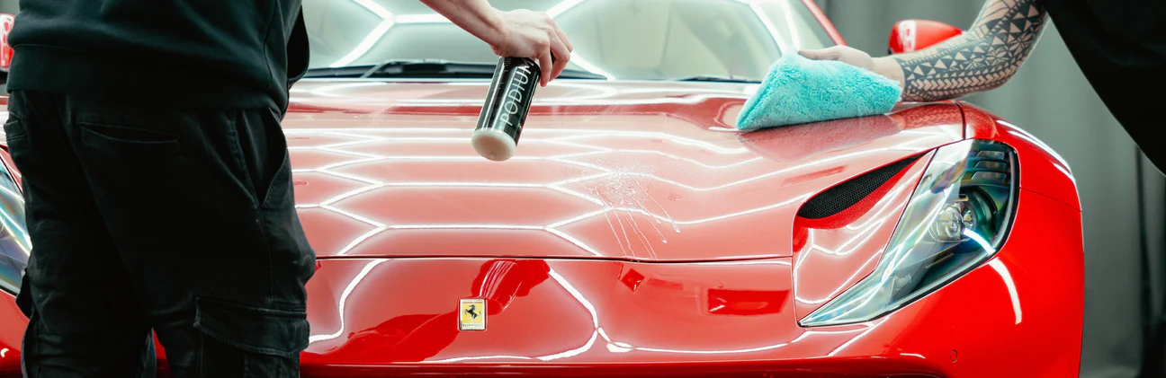 Professional Ceramic Coating Near Me by Big Dog Detail