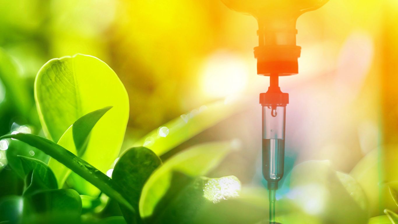 IV Vitamin Injections vs Oral Supplements: Which Works Faster?