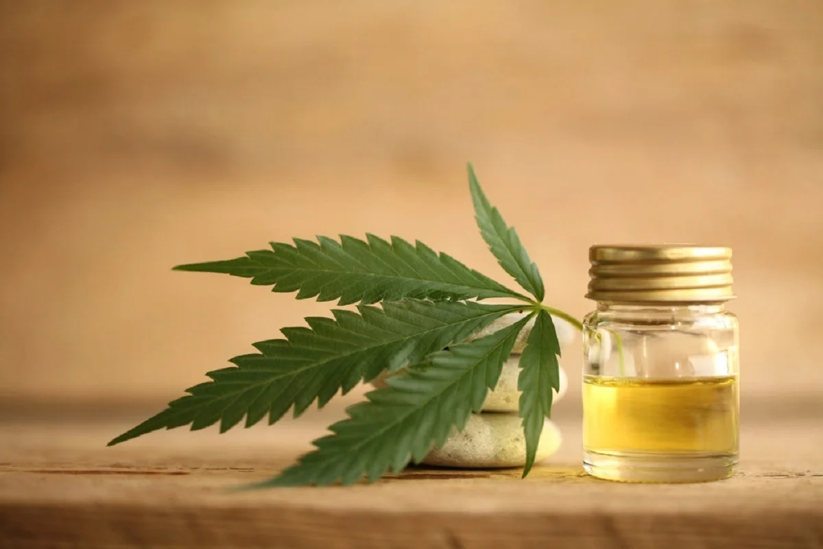Wholesale CBD Edibles – Miami Rave Provides High-Quality Edibles in Bulk