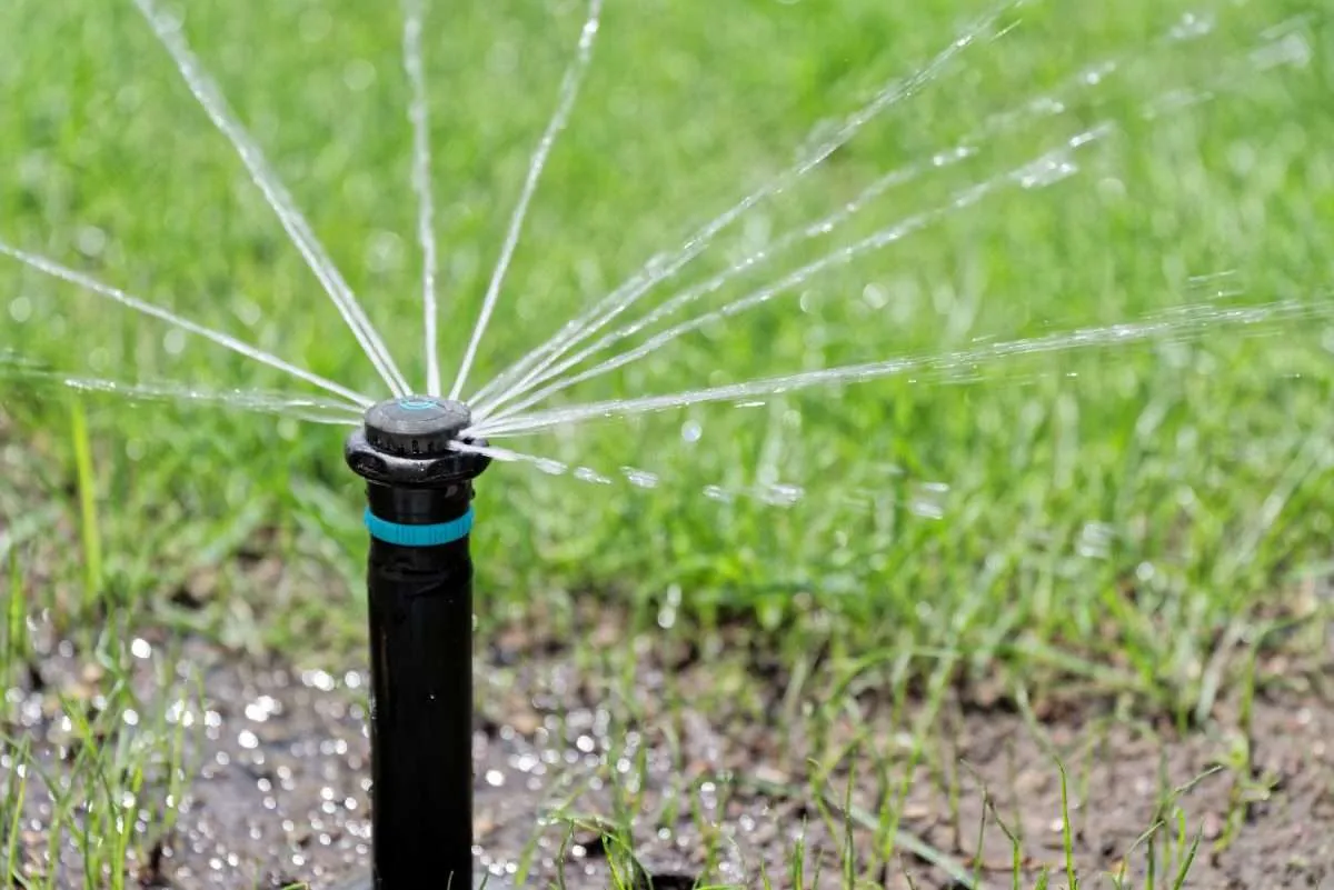 Professional Irrigation Services in Hudson Oaks, TX for Modern Landscapes