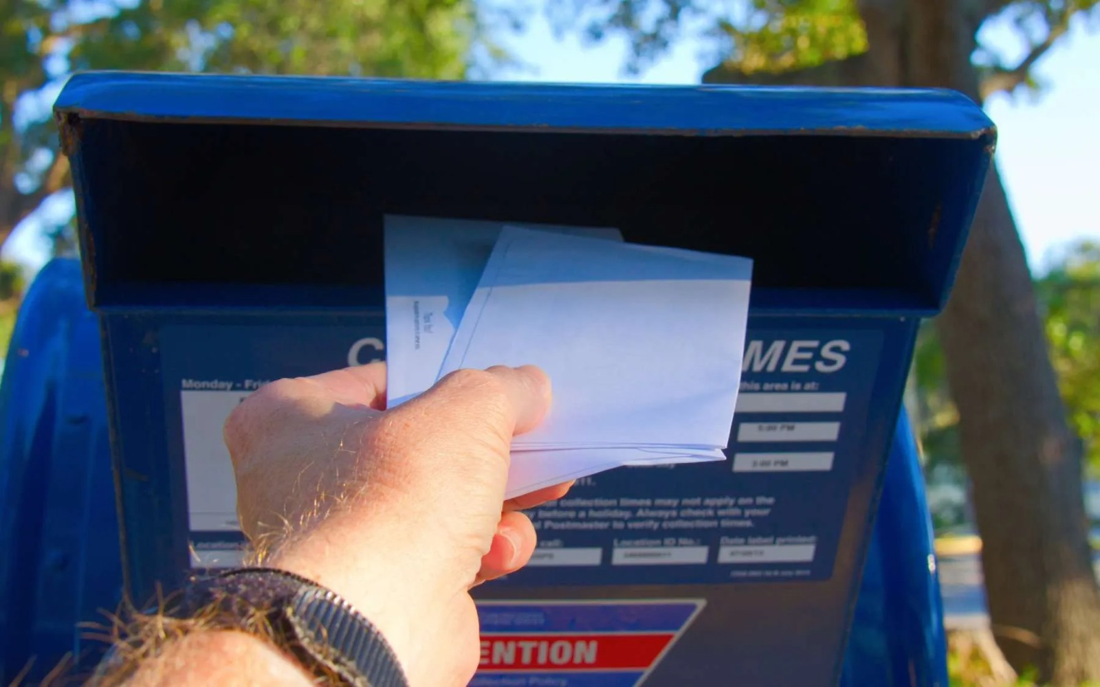 Why Businesses Depend on a Professional direct mail company