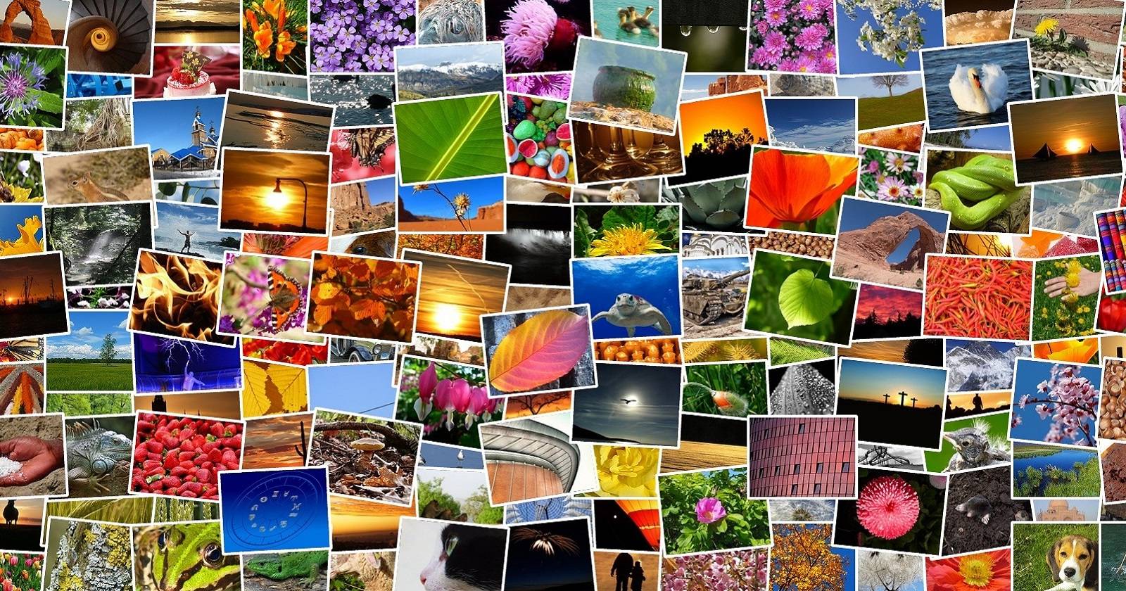 Free Picture Collage Maker with Advanced Design Tools