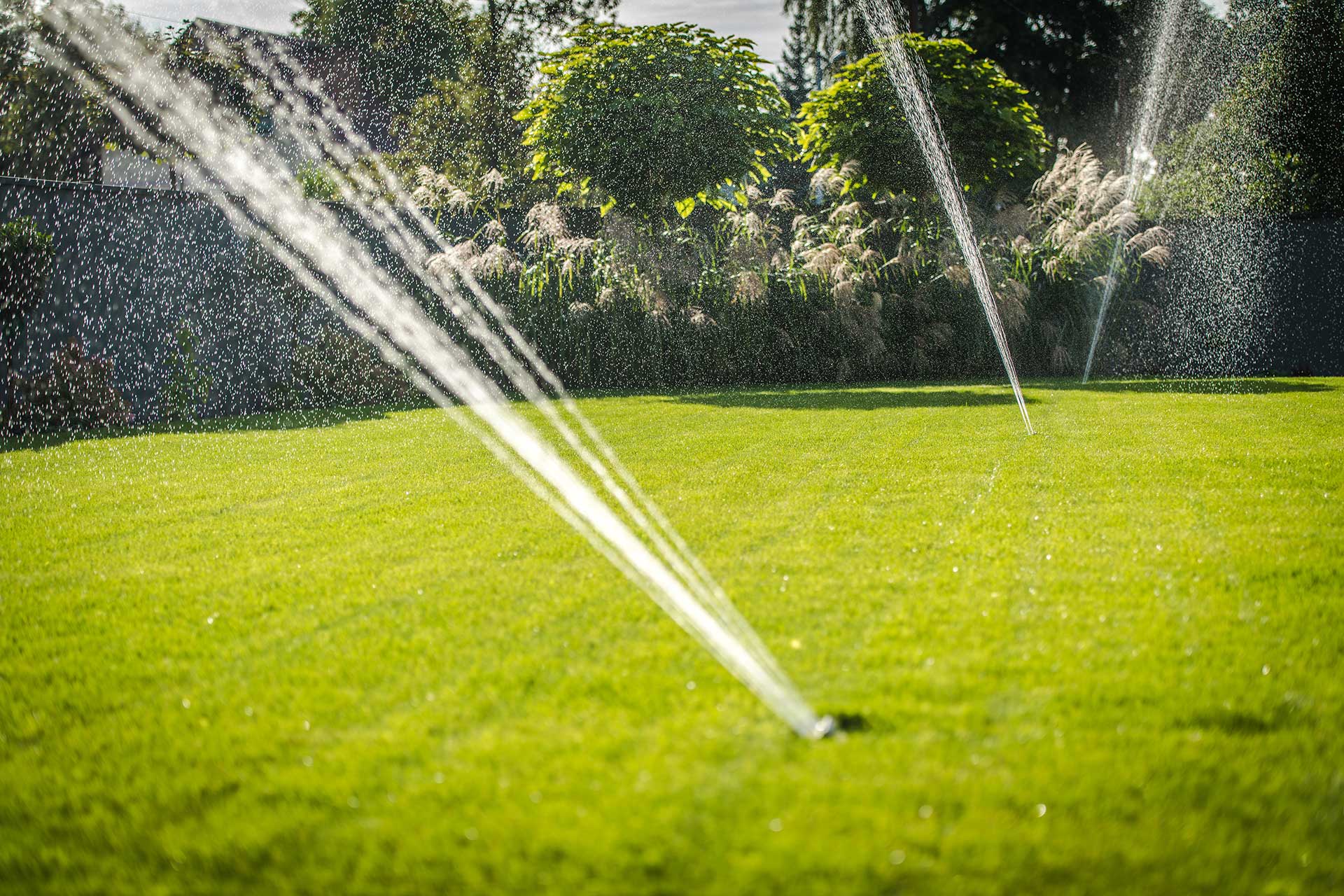Local Expert Drainage Services in Weatherford, TX for Safe and Dry Lawns