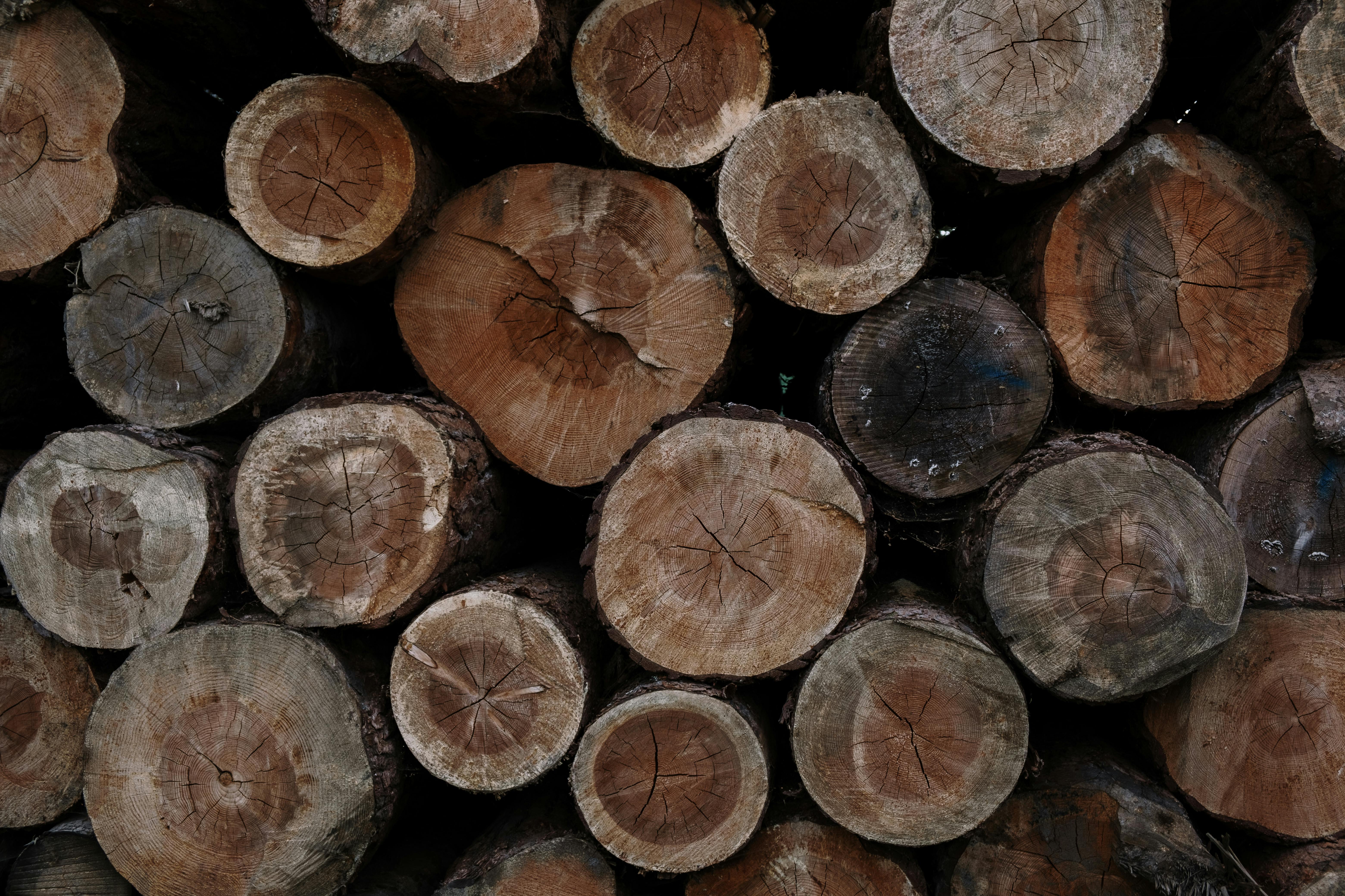 Fire Briquettes Switzerland: Efficient and Eco-Friendly Heating Fuel