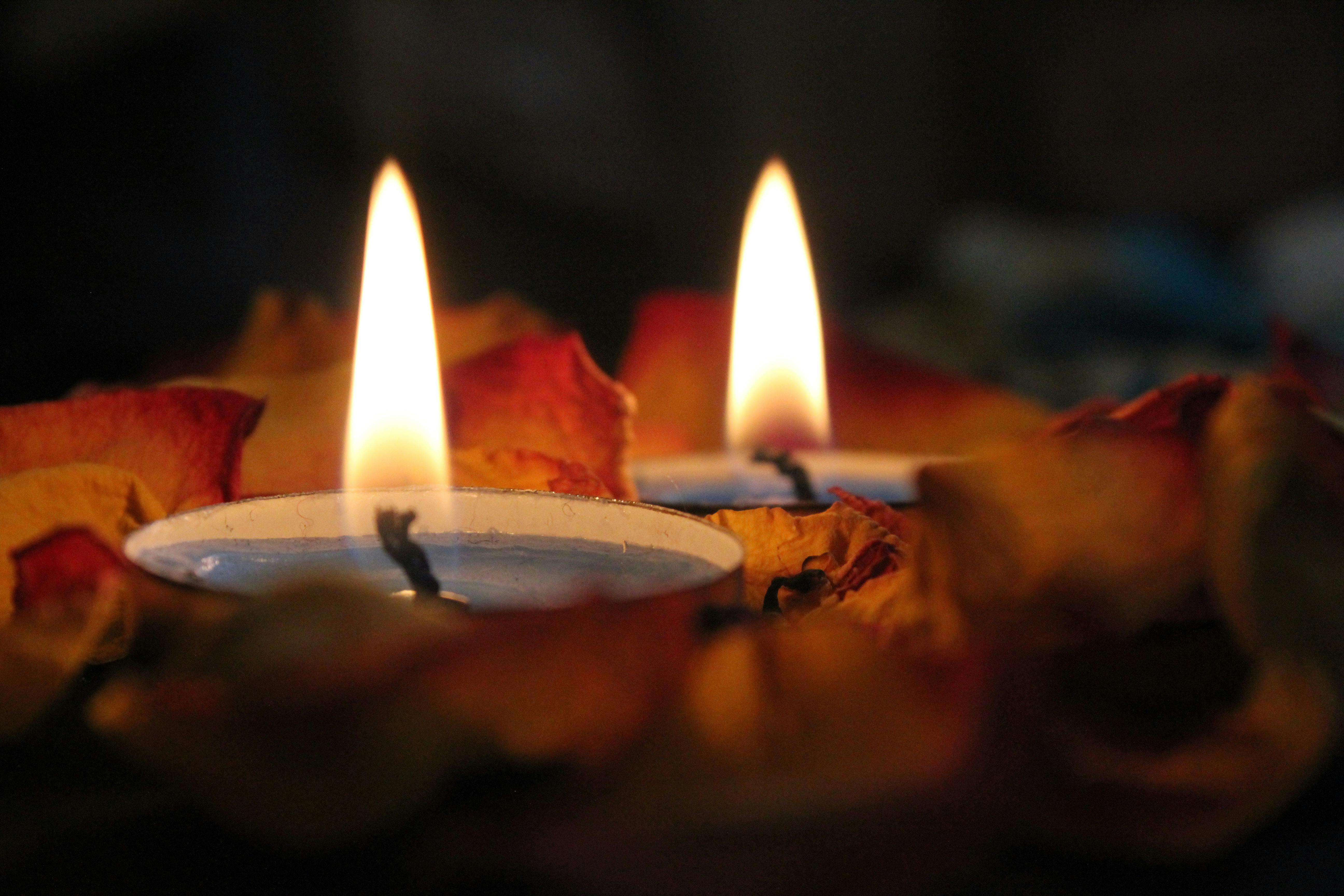 Fun Novelty Candles to Brighten Any Room