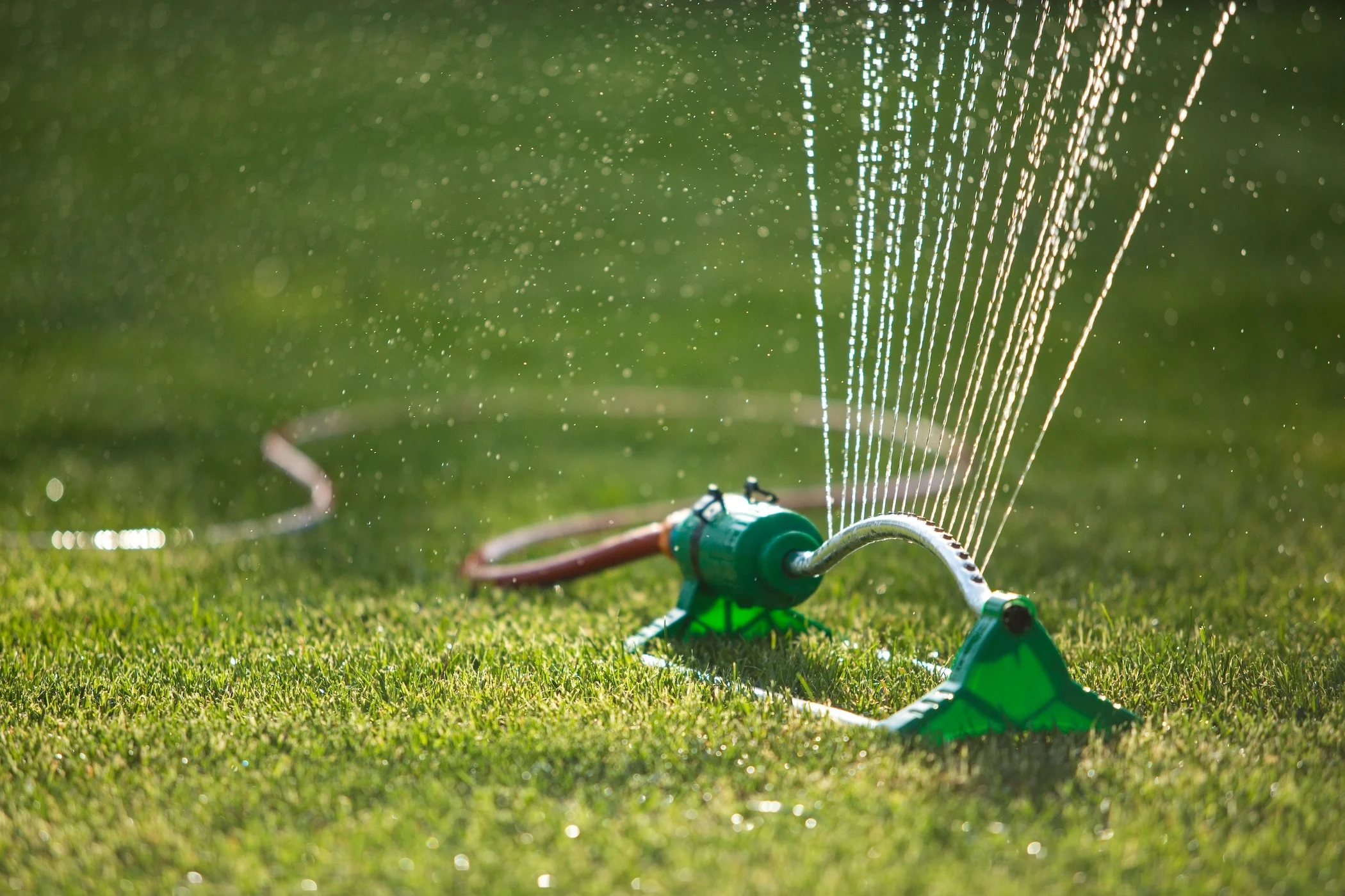The Sprinkler Company Inc | One-Day Lawn Sprinkler Installation