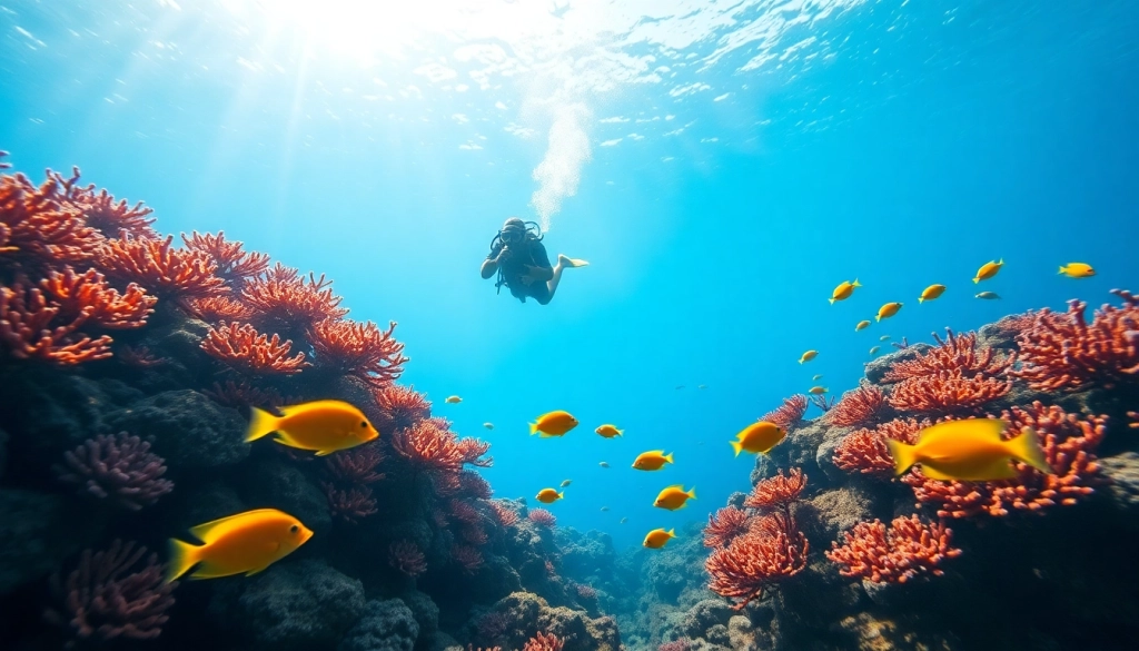 Diver encountering colorful marine life at https://marvinscubaexpeditions.com's vibrant coral reefs