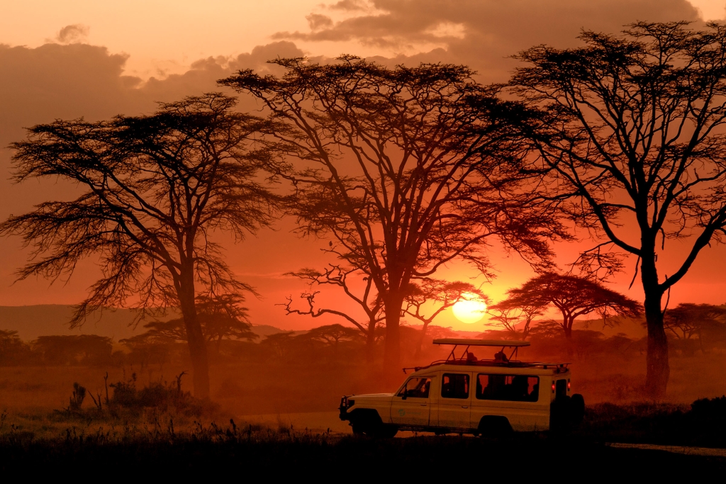 Golden-hour-silhouette-of-a-safari-vehicle-at-Mikumi-National-Park-Tanzania-1-1