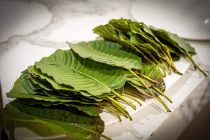 07a02985bfcdfbb2937b3856c9771aad