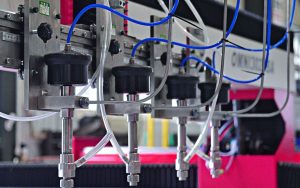 WhatsApp Image 2026-01-09 at 4.30.02 PM (5)